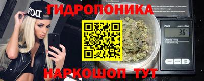 сатива Новодвинск