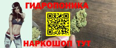 сатива Новодвинск