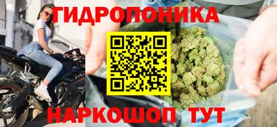 мдпв Новокубанск